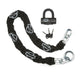 Harley-Davidson Loop Chain and Disc Brake & Rotor Lock
